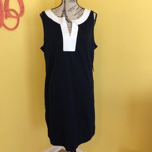 Sleeveless Navy & White Knee Length Dress